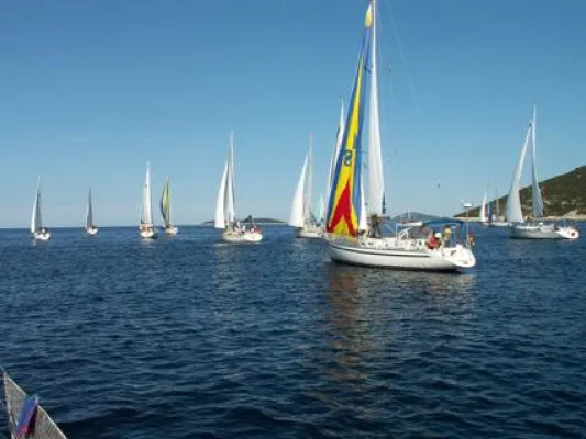 Bild: AMS-Segelregatta 2007
