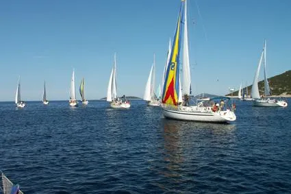 Bild: AMS-Segelregatta 2007