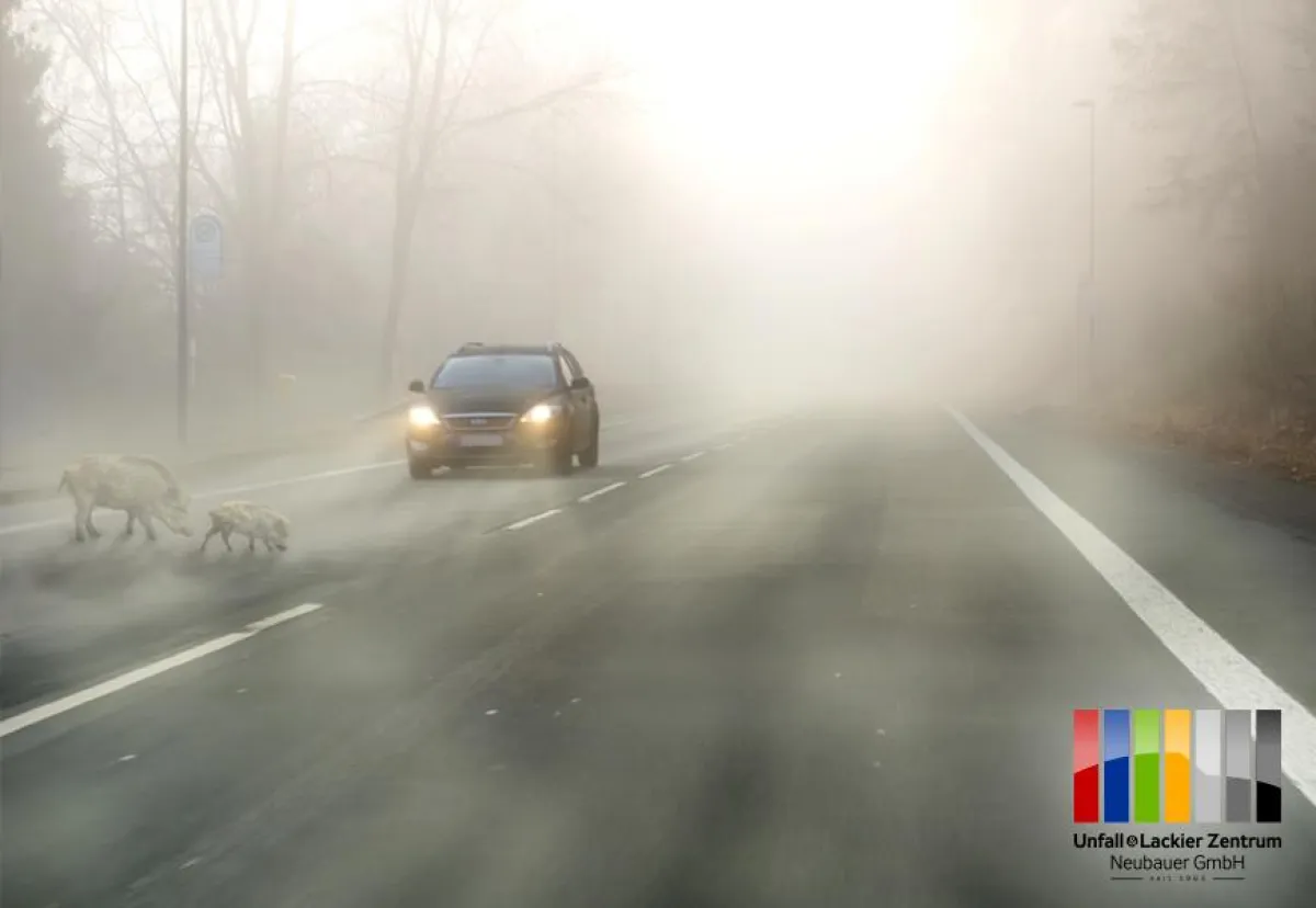 Was tun bei Wildunfällen?  fotolia©costadelsol