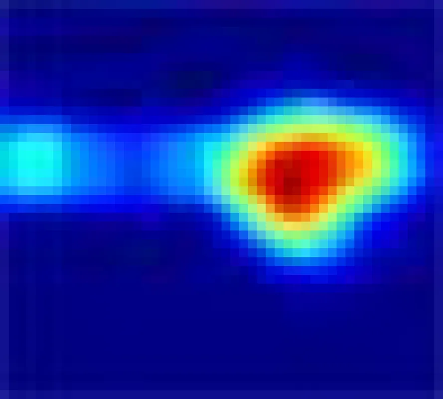 Synthetische Netz für die Papierindustrie und resultierende Defektanalyse