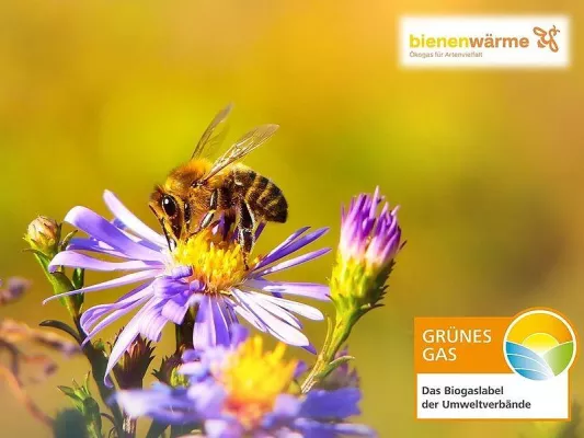 Bild: Bienenwärme – ausgezeichnet mit dem Grünes Gas-Label
