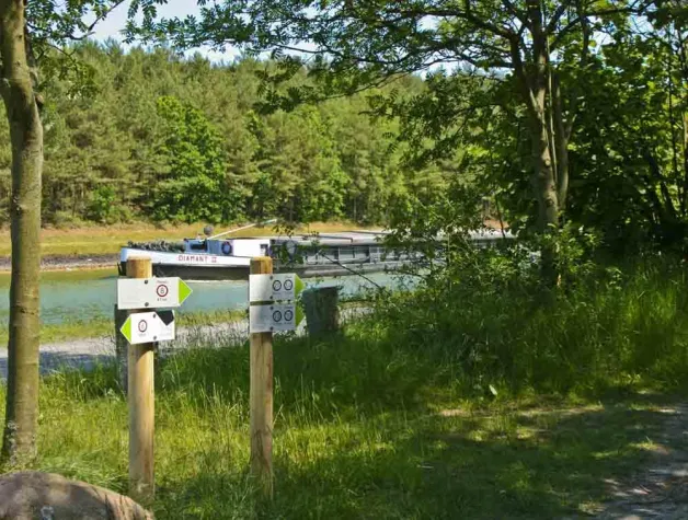 Bild: Wandern in der Lüneburger Heide