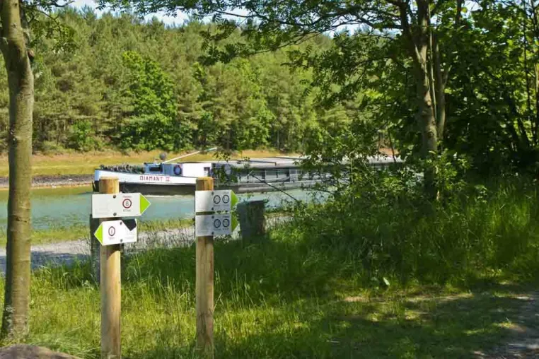 Bild: Wandern in der Lüneburger Heide