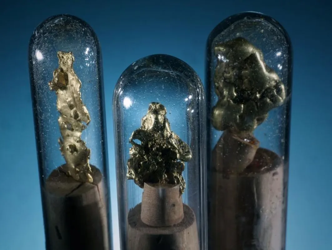 Die drei Goldnuggets aus Kalifornien werden in der neuen Ausstellung der Mineralogischen Sammlung der Universität Jena ab dem 29. November zu sehen sein. (Foto: Jan-Peter Kasper/FSU)