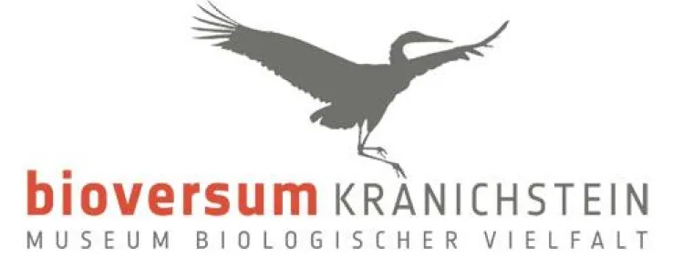 Bild: Ausgesprochen natürlich - mainwerk entwickelt Namen "bioversum" für Darmstädter Naturmuseum.