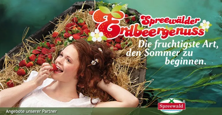 Bild: Aufholjagd bei Gurkenernte