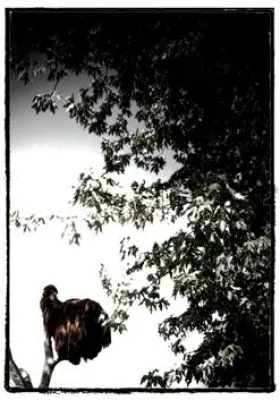 Bild: “LEBEWESEN” Zoo Berlin zeigt Ausstellung von Verena Borbonus