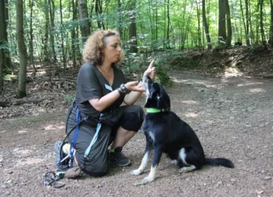 Therapiehund „Mauro“ unterstützt psychosomatische Behandlung in der MEDIAN Klinik Schlangenbad Bild: Therapiehund „Mauro“ unterstützt psychosomatische Behandlung in der MEDIAN Klinik Schlangenbad