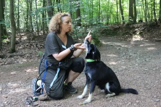 Bild: Therapiehund „Mauro“ unterstützt psychosomatische Behandlung in der MEDIAN Klinik Schlangenbad