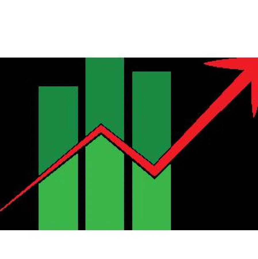 Das Icon der Seo Marketing Firma aus Berlin
