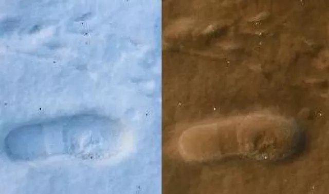 Bild: 6 wichtige Punkte für die Ermittlung des Carbon Footprints