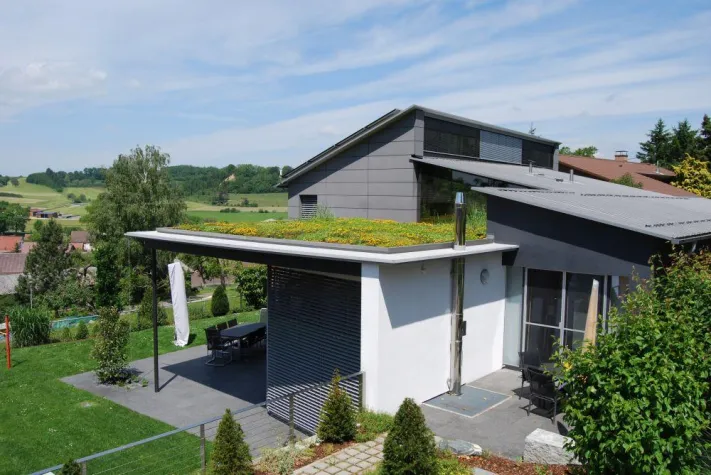 Bild: Ein grünes Dach frei Haus