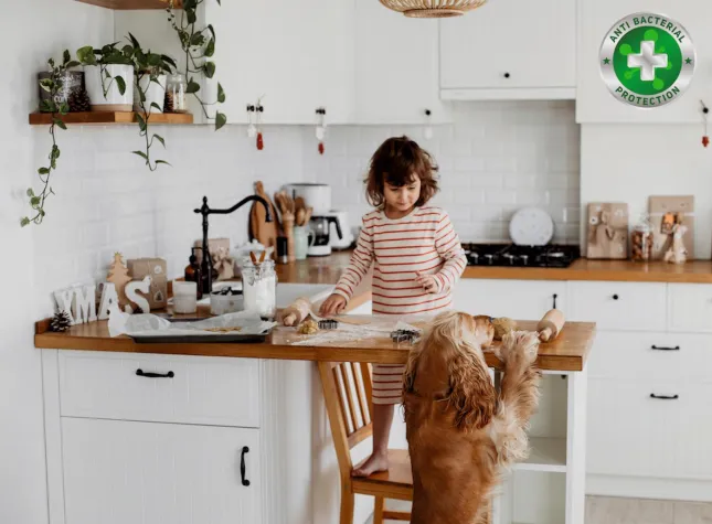 Bild: Neues antibakterielles Lacksystem –permanent wirksam: Acryl 10:1 Mehrschichtsystem mit höchster Beständigkeit