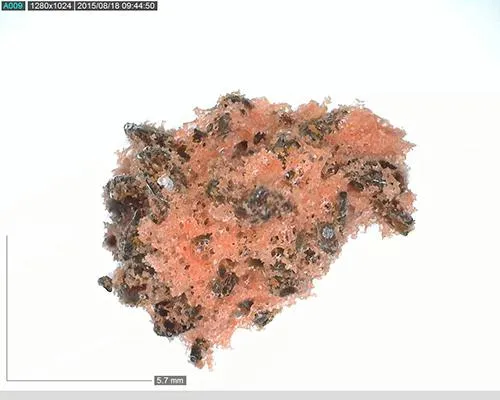 Bild: Dino-Lite Mikroskope – EDOF Extended Depth of Field