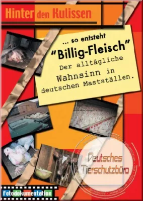 Bild: Deutsches Tierschutzbüro stellt 20-seitige Fotodokumentation vor - „So entsteht Billig-Fleisch“ - Ein Blick hinter die Kulissen der Fleisch-Industrie