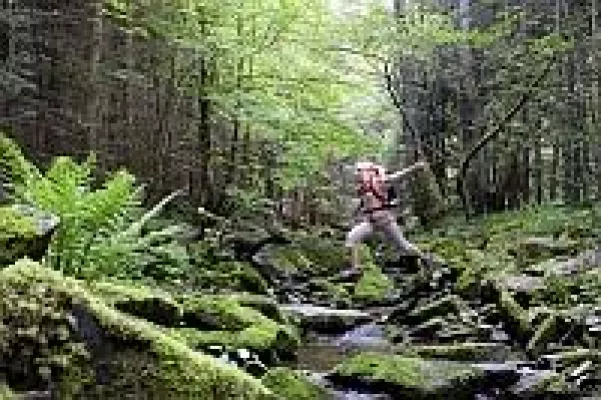Bild: Wanderung durch die Oberpfälzer Landschaft