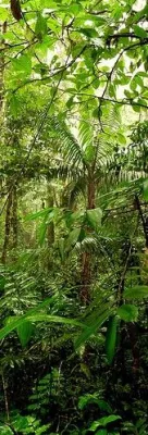 Bild: TU München und ForestFinance vertiefen wissenschaftliche Zusammenarbeit