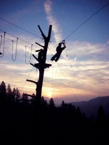 Bild: Saisonfinale im Kletterwald Bärenfalle – Bis 6. November täglich geöffnet