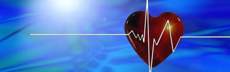 Bild: Zelltod durch Streckungswirkung