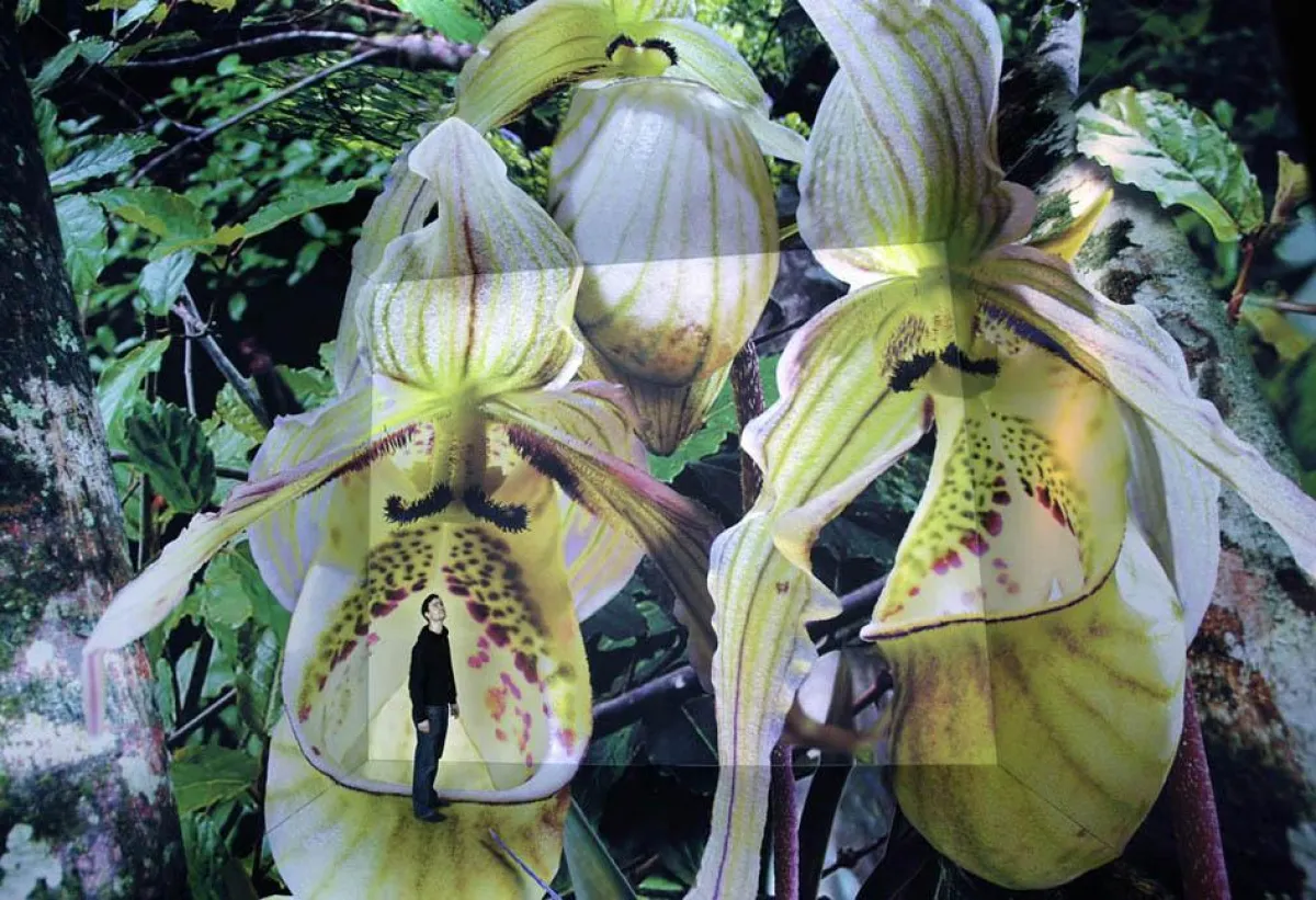 Asisi Panometer in Leipzig, Blütenanamorphose, © Asisi