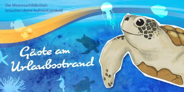 Bild: Gegen Plastik und für Umweltschutz: Schildkröten-Projekt gestartet