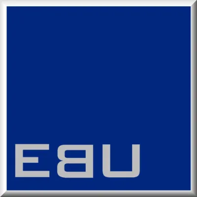 Bild: Mit Sicherheit zum Erfolg –   Schwachstellenanalysen und Projektassessments für IT-abhängige Unternehmen