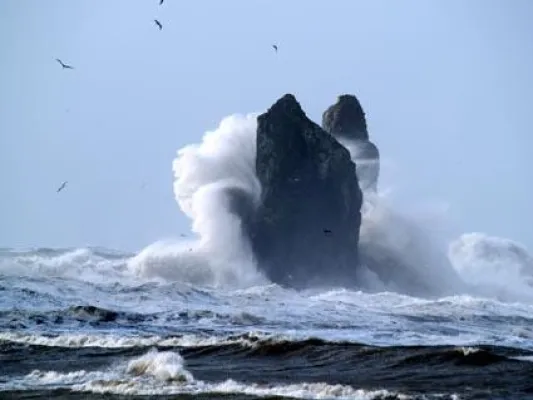 Stormwatching - Spektakuläre Winterstürme locken in den Olympic Nationalpark im US-Bundesstaat Washington Bild: Stormwatching - Spektakuläre Winterstürme locken in den Olympic Nationalpark im US-Bundesstaat Washington