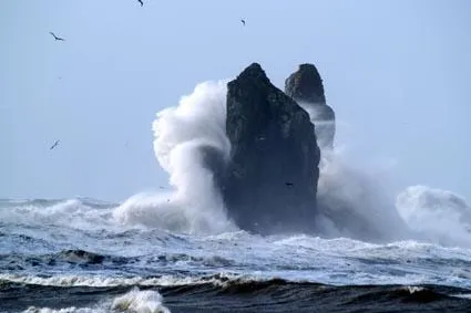 Bild: Stormwatching - Spektakuläre Winterstürme locken in den Olympic Nationalpark im US-Bundesstaat Washington