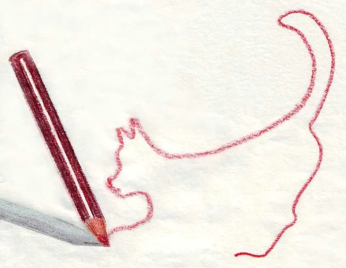 Katze und Stift: Wer spielt hier mit wem?