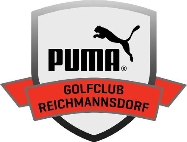 Bild: Das Grün vom Steigerwald