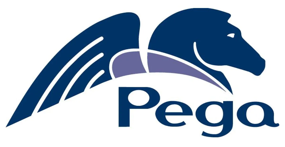 Pegasystems versteht Geschäftsstrategien und entwickelt Lösungen, die die Bedürfnisse solcher Strategien befriedigen