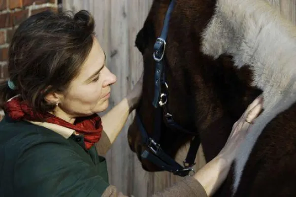 Bild: Muskelverspannung bei Pferden - Sanfte Heilmethode aus Australien