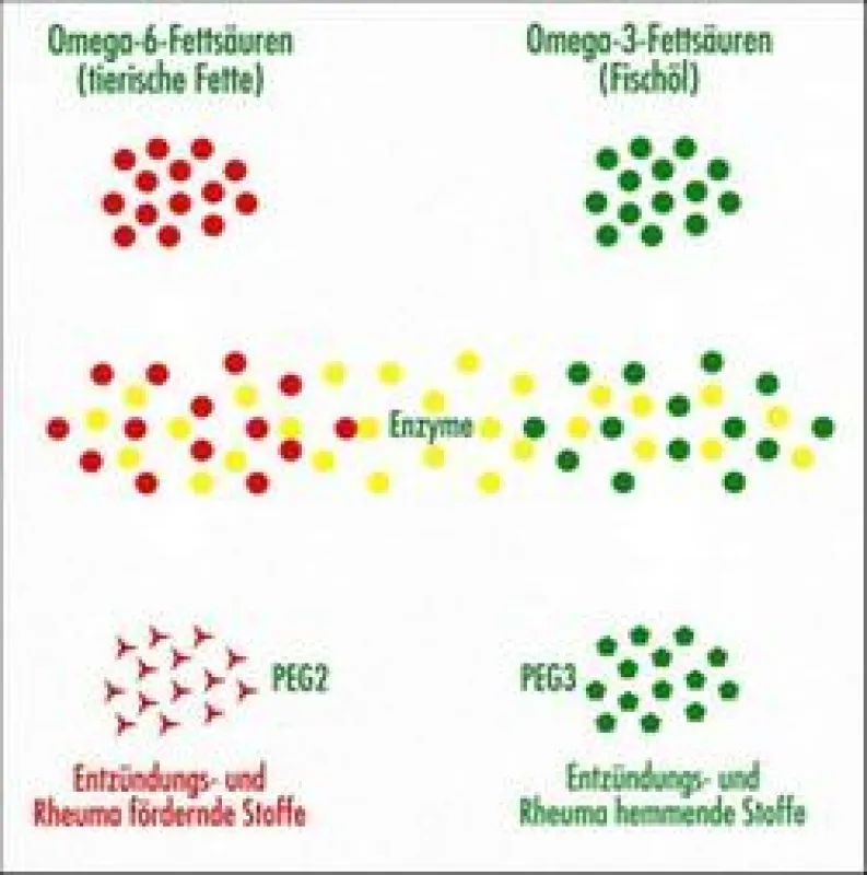 Omega-6- und Omega-3-Fettsäuren sind Gegenspieler