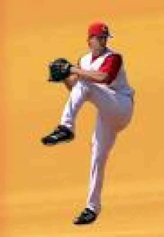 Leadpitcher