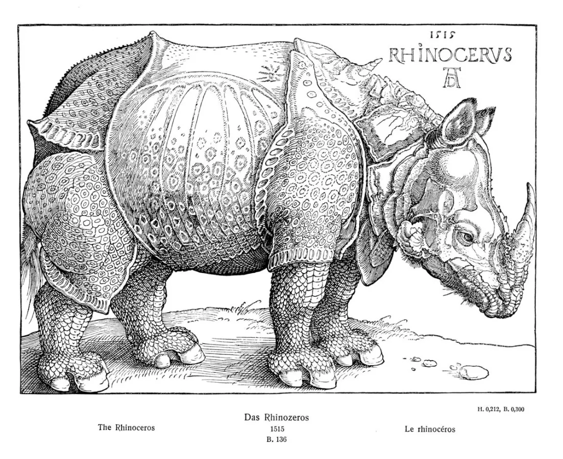 Das Rhinozeros | Holzschnitt eines Panzernashorns von Albrecht Dürer (© Quagga Illustrations)