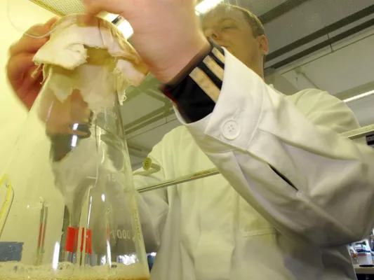 Die Leber im Reagenzglas Bild: Die Leber im Reagenzglas