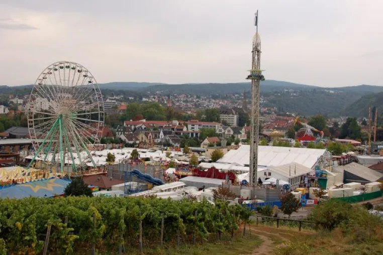Baumesse auf Wurstmarktplatz Bild: Baumesse auf Wurstmarktplatz