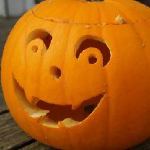 Halloween - Fest für Kürbisfans - Kürbis kaufen online Bild: Halloween - Fest für Kürbisfans - Kürbis kaufen online