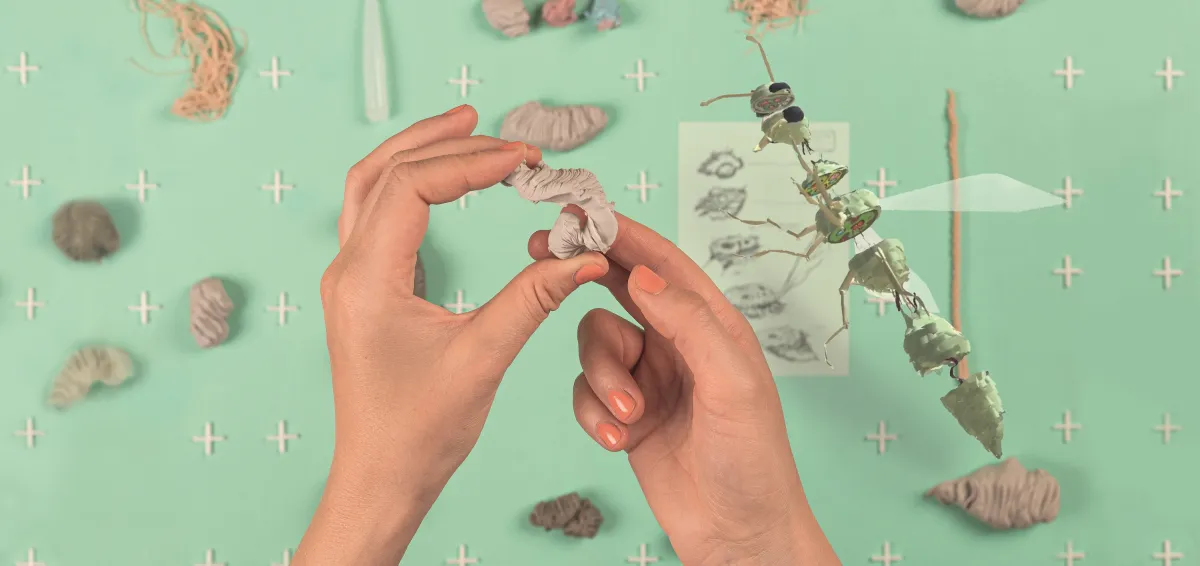 Bianca Kennedy & The Swan Collective, 