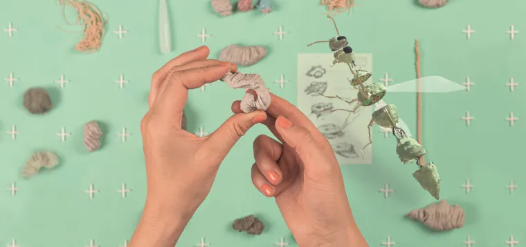 Bild: Bianca Kennedy & The Swan Collective | LIFE 4.0 Eröffnung 11.12.2020