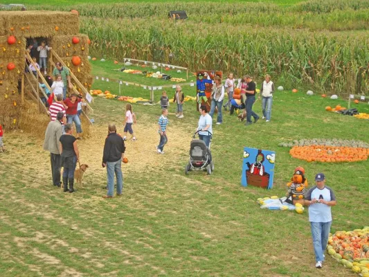 Bild: Kürbisausstellung mit 300 Sorten und 30.000 Kürbissen