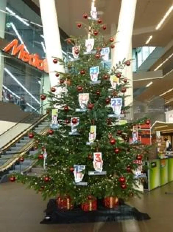 Weihnachtsbaum im daseinstein