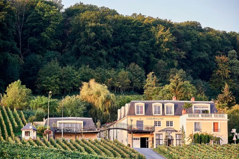 Bild: Winzerchampagner – die clevere Alternative zu teurem Markenchampagner