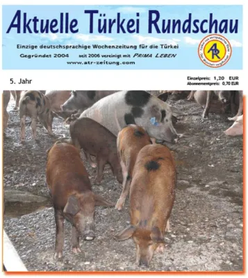 Bild: Türkei - Das Neueste vom Projekt „Schweinezucht“