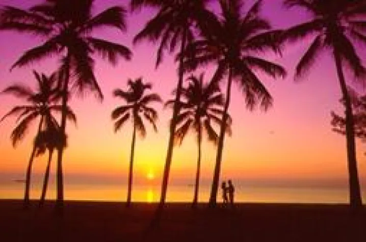 Bild: Fort Lauderdale Florida soll grüner werden