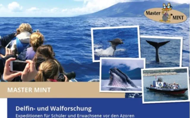 Bild: Schüler-Forschungsexpedition Delfin- und Walforschung vor den Azoren – Jetzt auf die letzten Plätze bewerben!