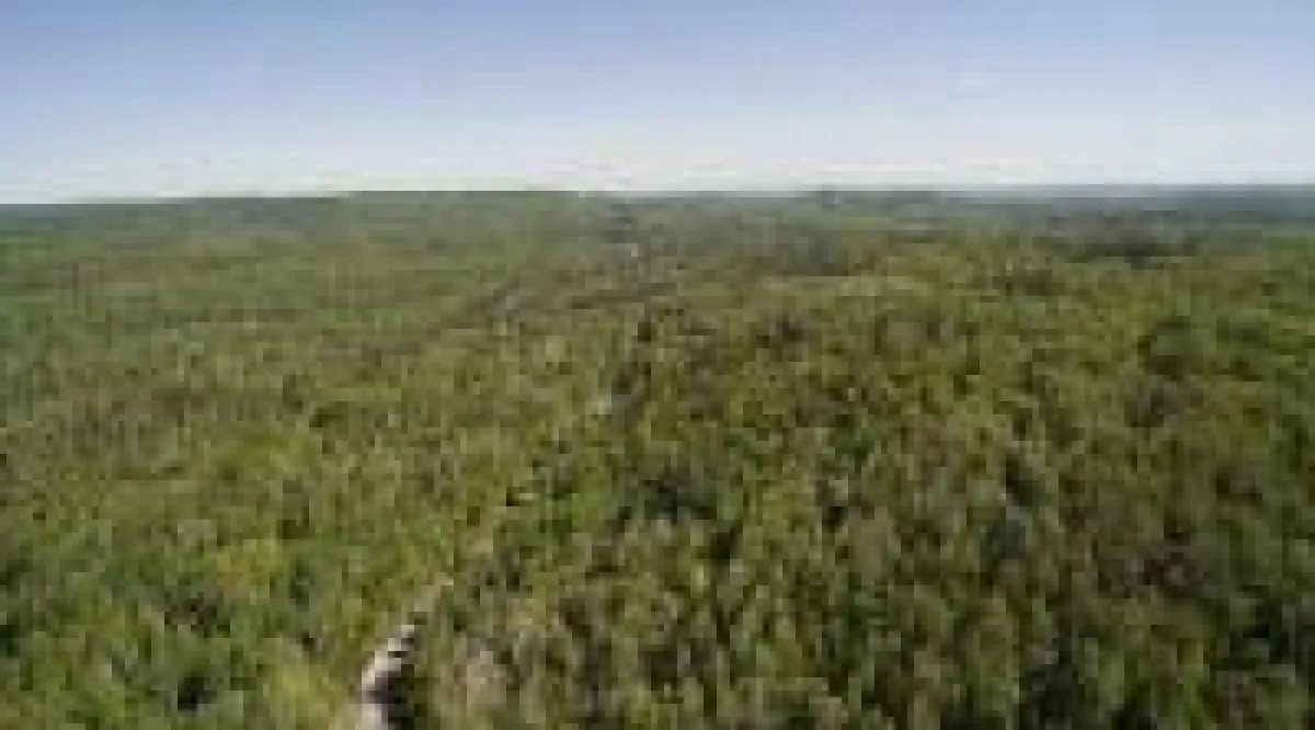 Quelle: First Cobalt