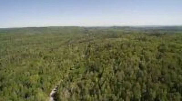 Bild: Meeresboden rettet Klima