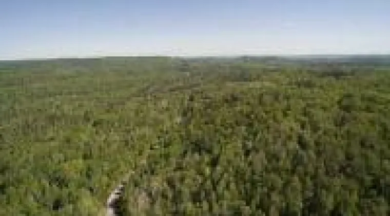 Bild: Meeresboden rettet Klima