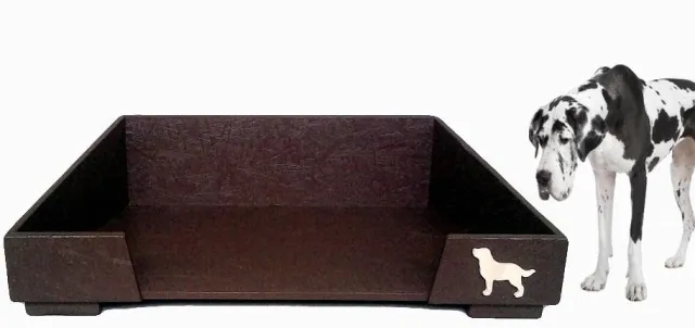 Bild: Design- Hundemöbel mit Sinn
